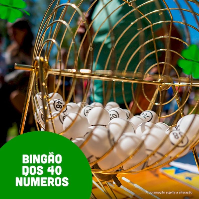 bingao-40-numerosnova
